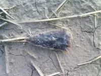 0913091857_01.webp