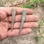 Lee Co. Ga. 1-19-19 (3).webp