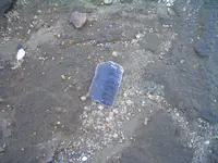 CIMG3571.webp