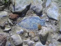 CIMG3124.webp