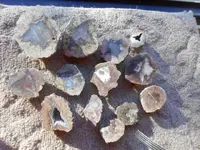 DSCN0017.webp