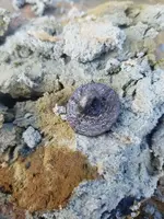 20190130_101424.webp