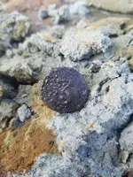 20190130_101420.webp