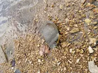 20180925_143514.webp