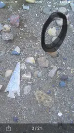 ImageUploadedByTreasureNet.com1551060092.973183.webp