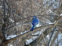 K1600_DSCN2986.webp
