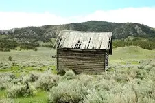 Curry gang hideout.webp