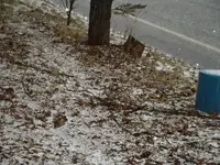 DSCF0002(3).webp