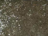 DSCF0003(1).webp