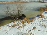 walk 011919 5.webp