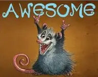images9SE0KJJN.webp