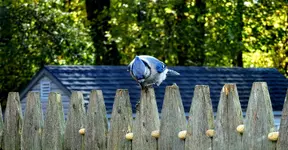 K1600_DSCN1564_InPixio.webp