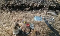 20190130_142747.webp