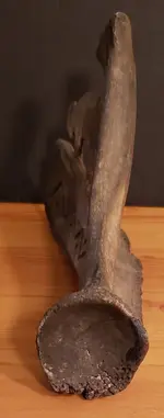 20190120_093714.webp