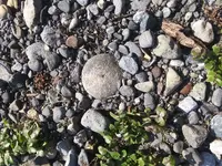 20190130_122430.webp