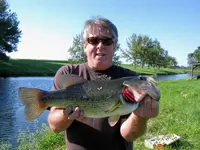 bass1.webp