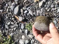 20190130_122450.webp
