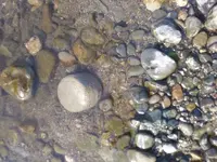 20190130_131951.webp