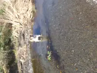 20190130_130719.webp