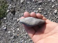20190130_130916.webp