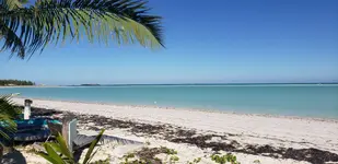 20190130_100725.webp