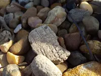 20190203_142720.webp