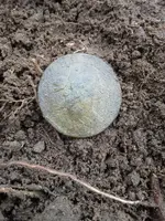 20190322_111305.webp