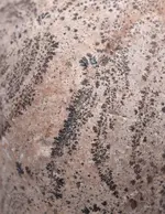 odd pattern2 small size.webp