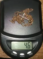 DSCF7787.webp