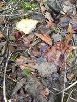 IMG_20190223_145213600.webp