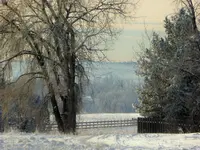 walk 020819 1.webp
