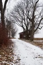 20181224_174654.webp