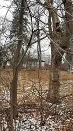 20181224_174608.webp