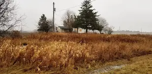20181228_140553.webp