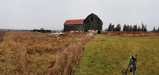 20181228_141155.webp