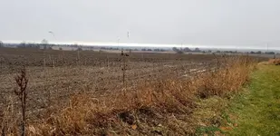 20181228_141908.webp