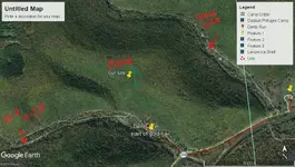 Forestry site 1_LI.webp