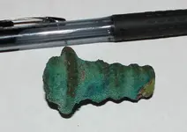 bolt 3.webp