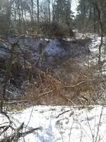WP_000299.webp WP_000299.webp