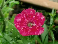 DSCN2512.webp