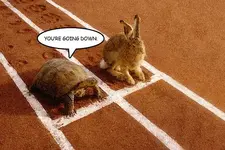 tortoise-and-hare.webp