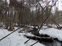 Unmapped Stream.webp