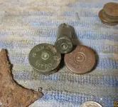 4 Fsh Cmp Ecn 0224 0225 2019 Ammo.webp