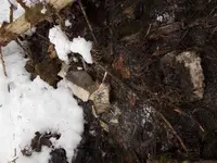 Quartz Float.webp
