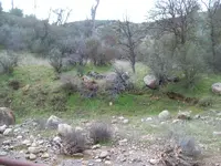 101_5112.webp