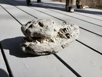 2019-02-25 13.59.31.webp