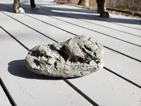 2019-02-25 13.59.37.webp