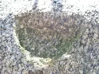 Mouth Ledge.webp