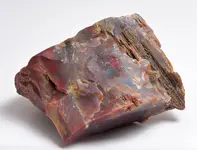 wood jasper2.webp wood jasper2.webp