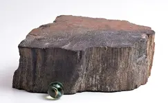 pet wood10a.webp pet wood10a.webp